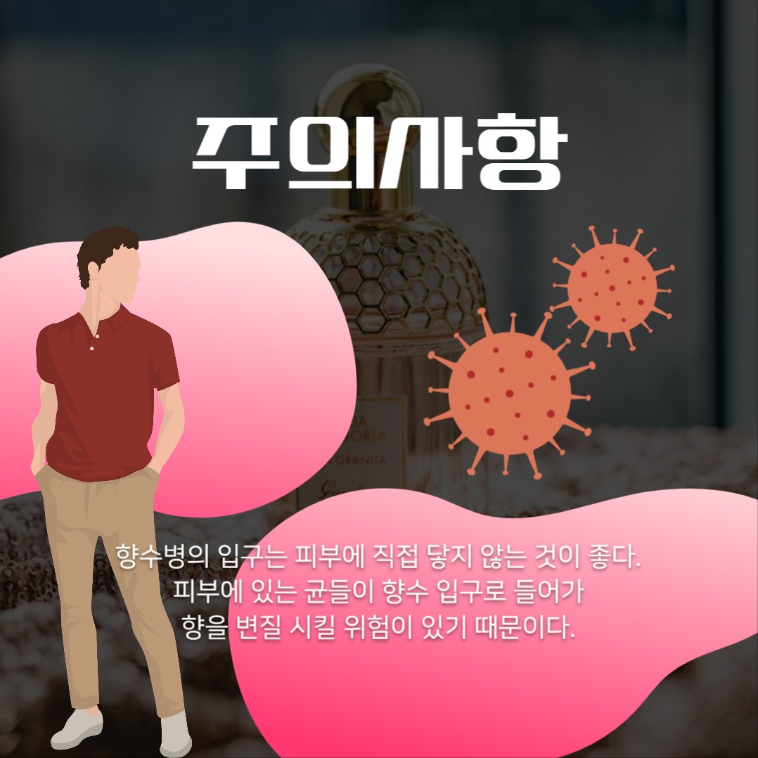 향수 관련 카드뉴스