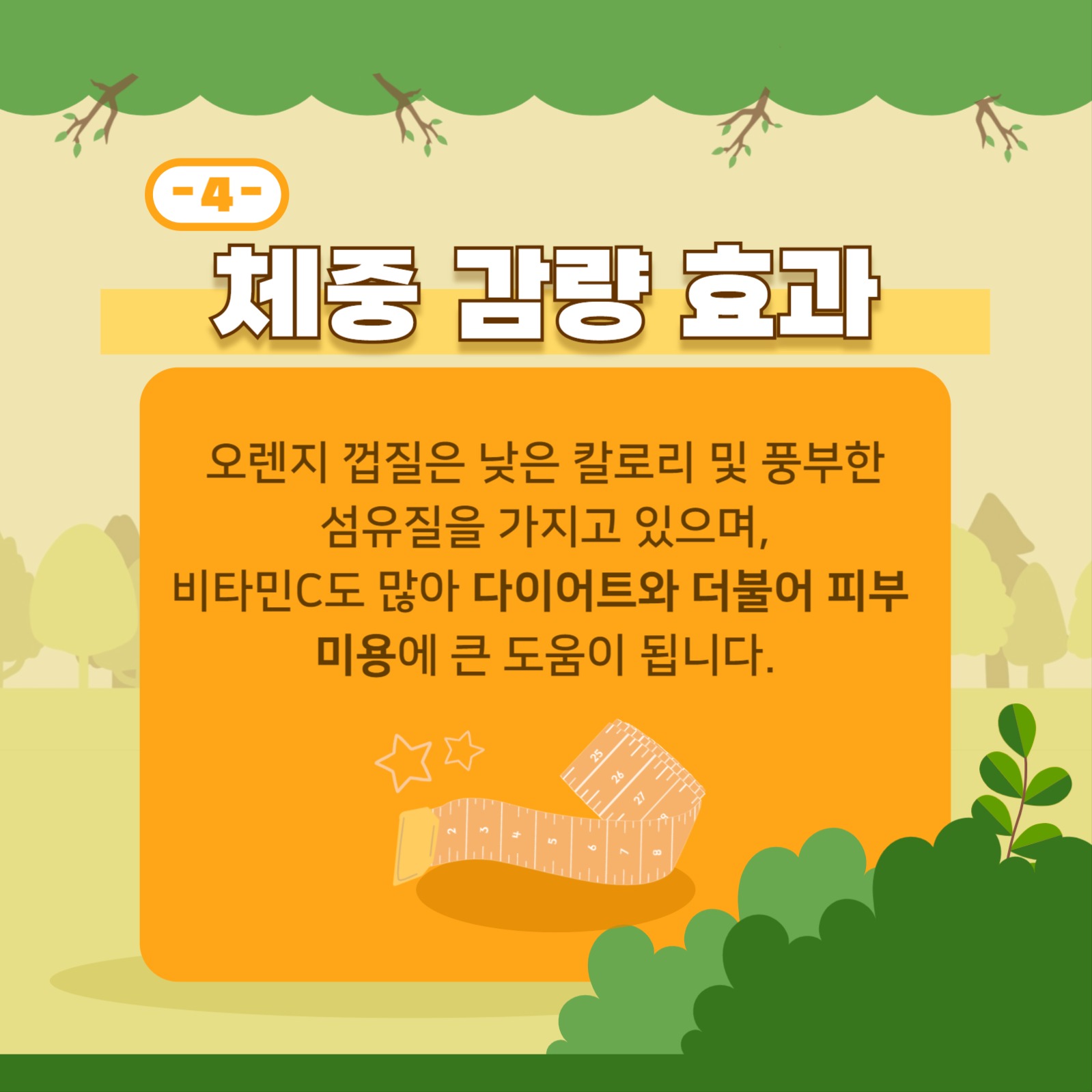 오렌지 껍질의 효능