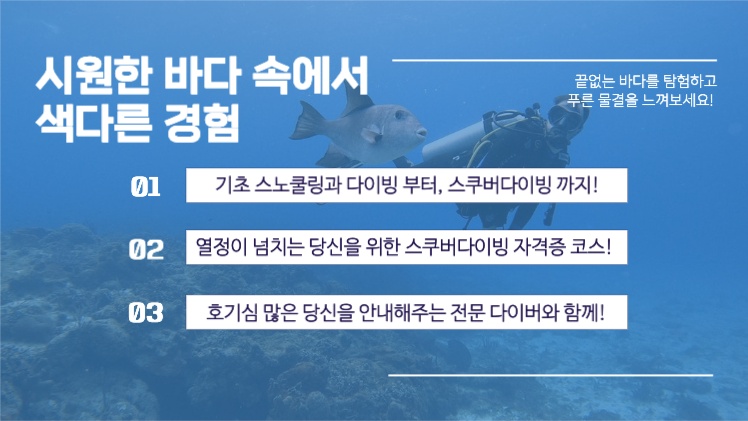제주 스쿠버다이빙 여행 프레젠테이션