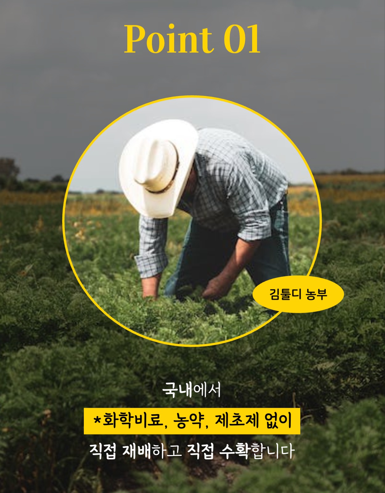 유기농 캐모마일 차 상세페이지