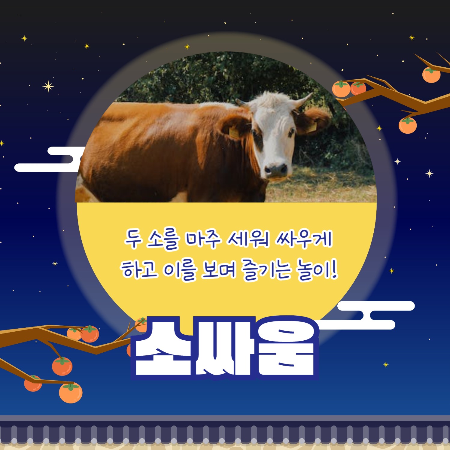 추석엔 민속놀이 (카드뉴스)