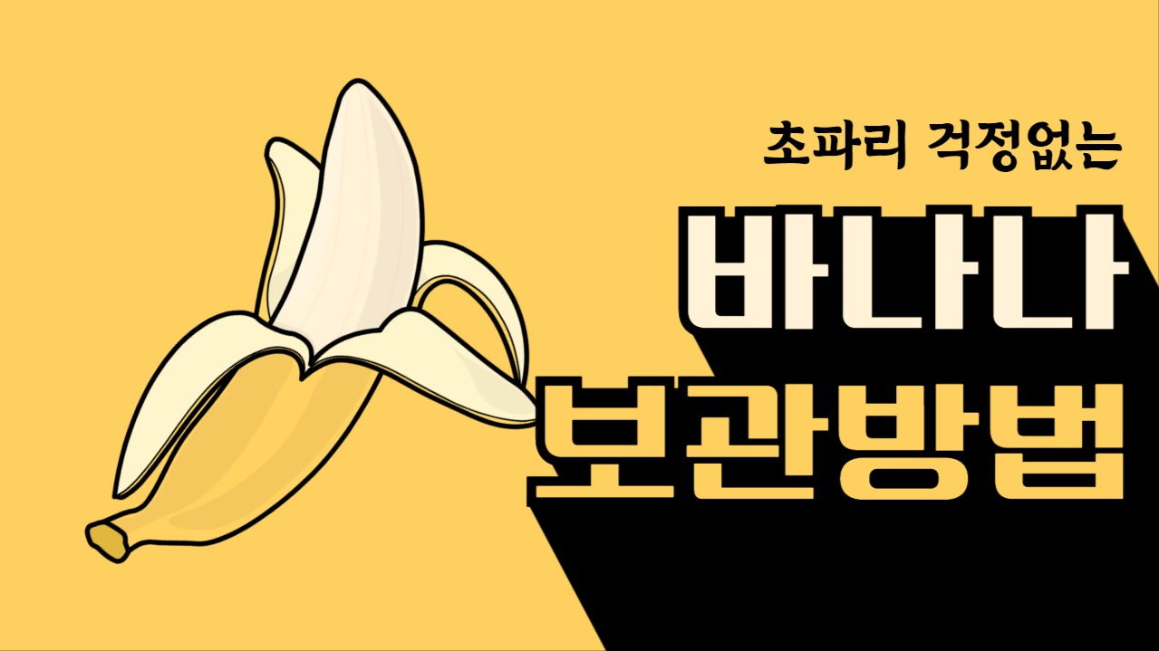 바나나 보관방법 유튜브