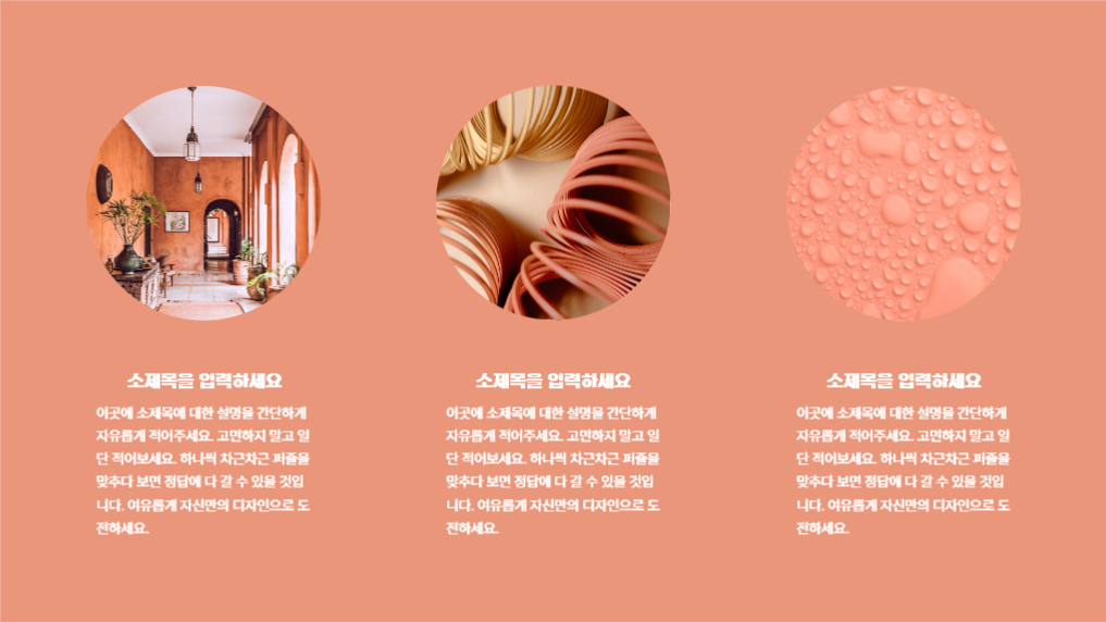 여유로운 카밍 코랄