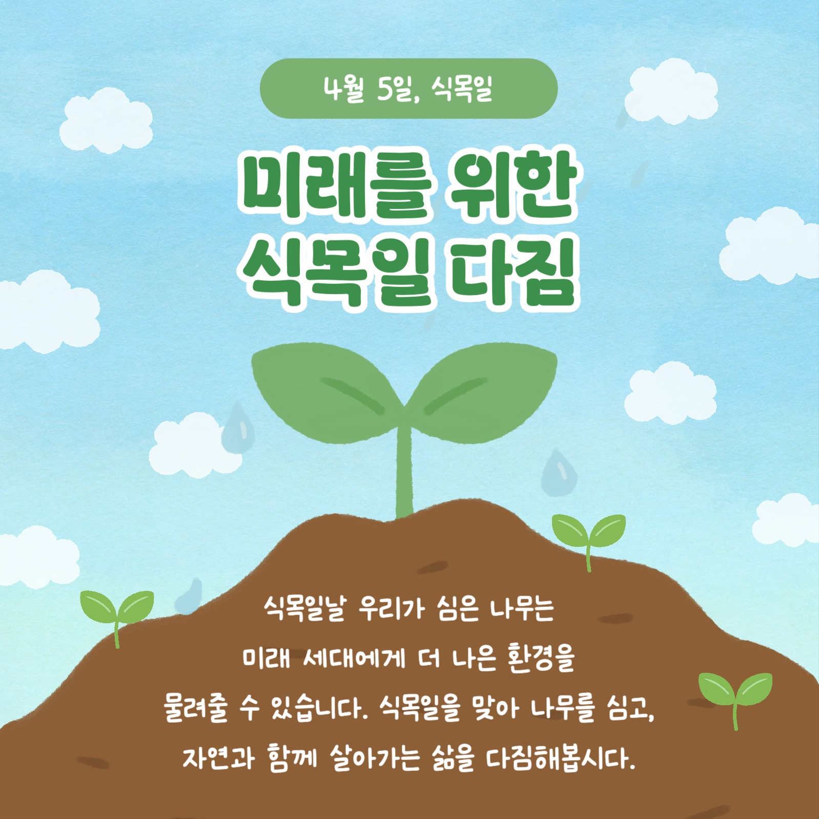 식목일의 모든 것 카드뉴스