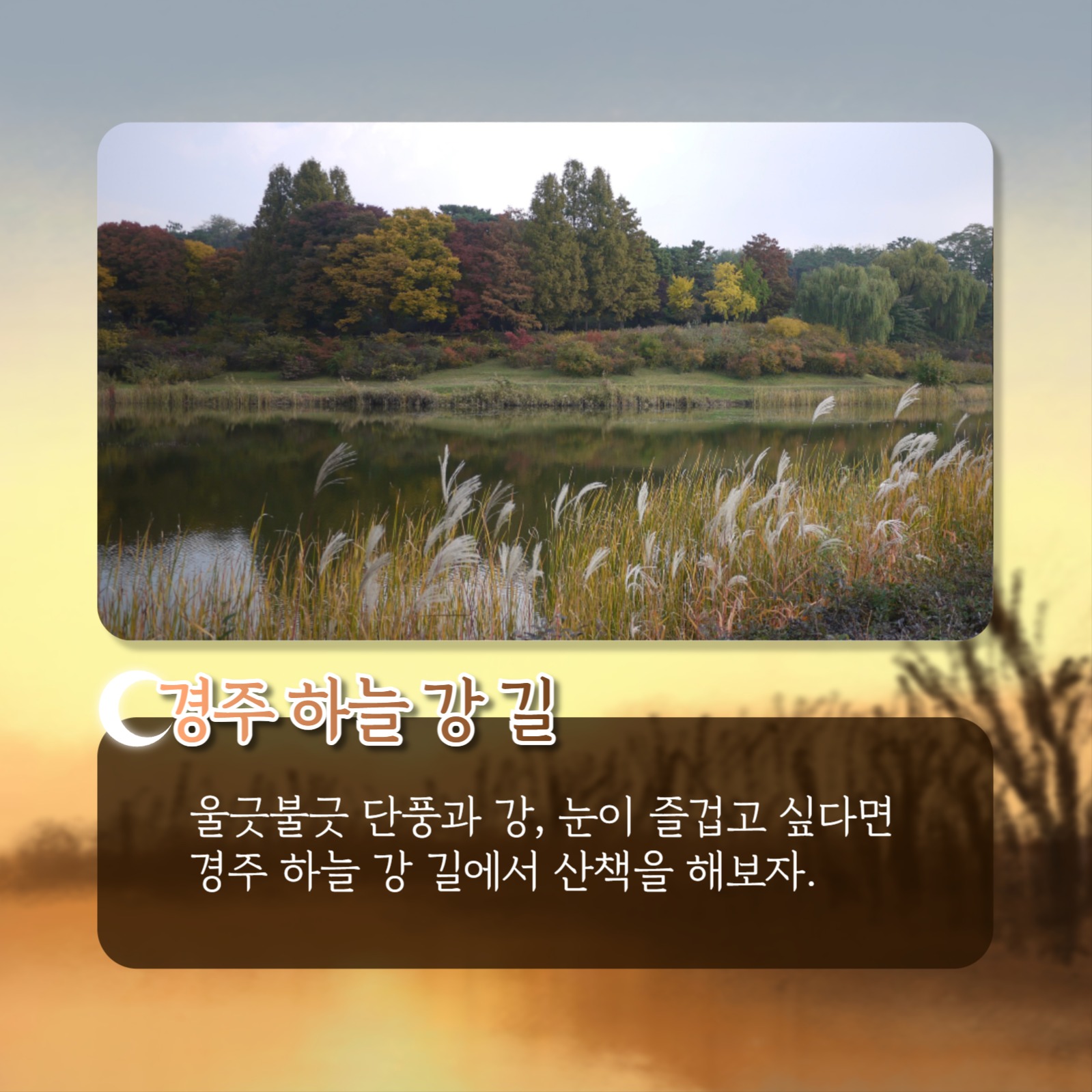 가을 산책 추천 코스 카드뉴스