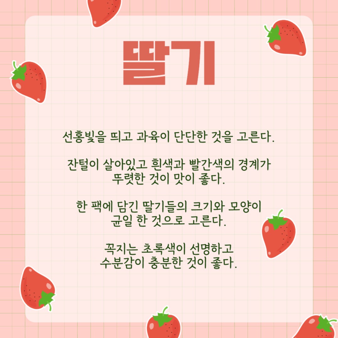 과일 고르기 카드뉴스