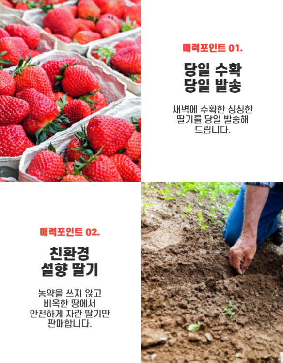 딸기 상세페이지