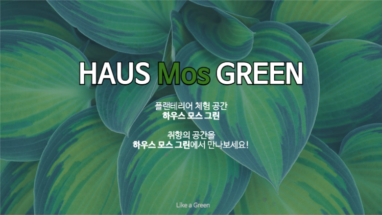 플랜테리어 인테리어 브랜딩 제안
