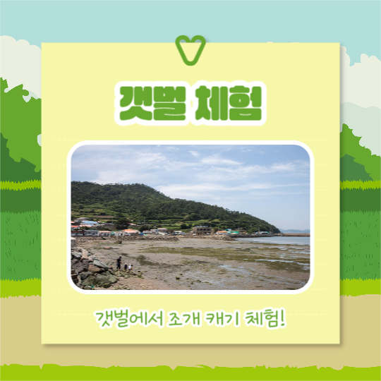 여름방학 체험활동 (카드뉴스)