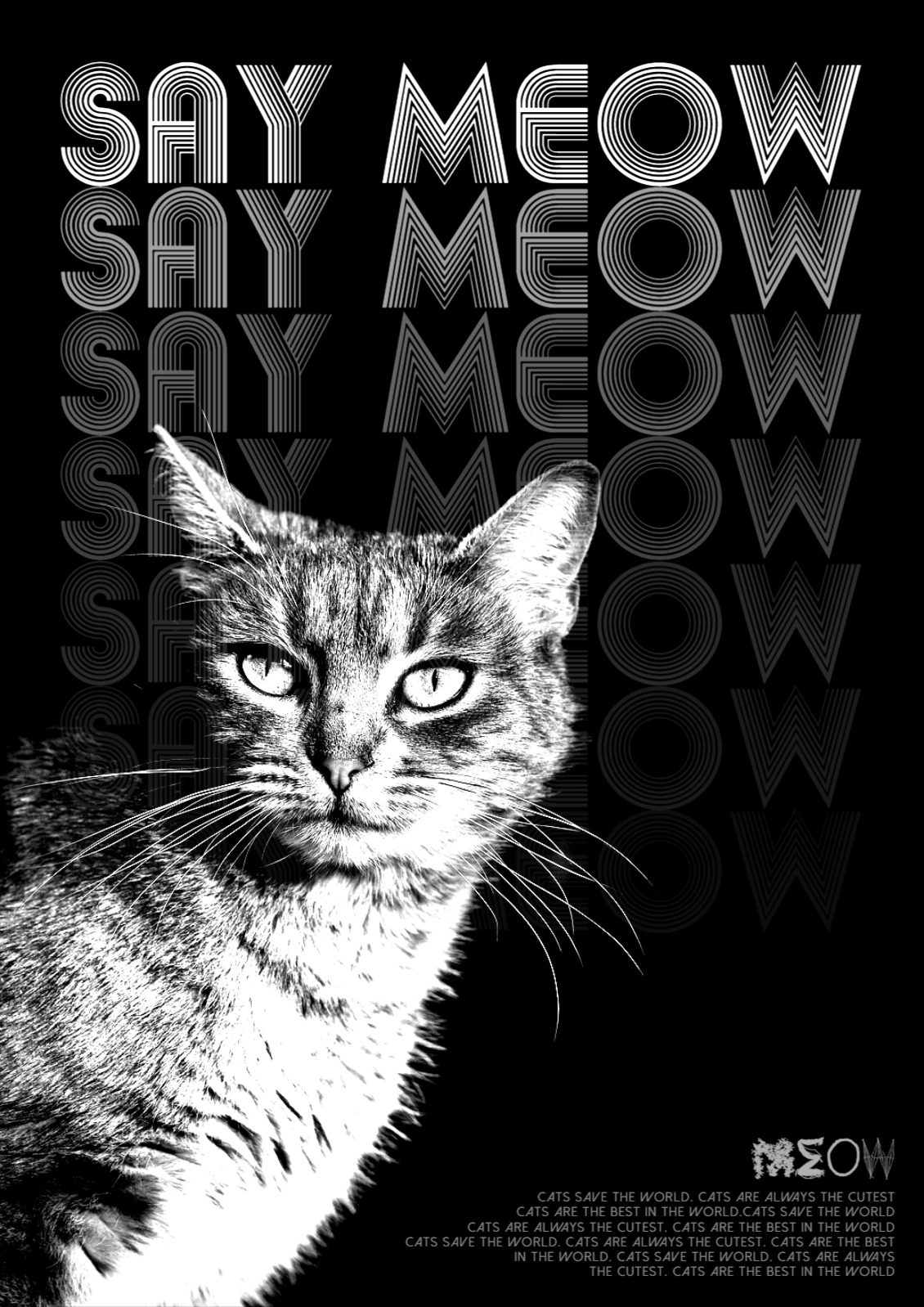 MEOW 고양이 포스터