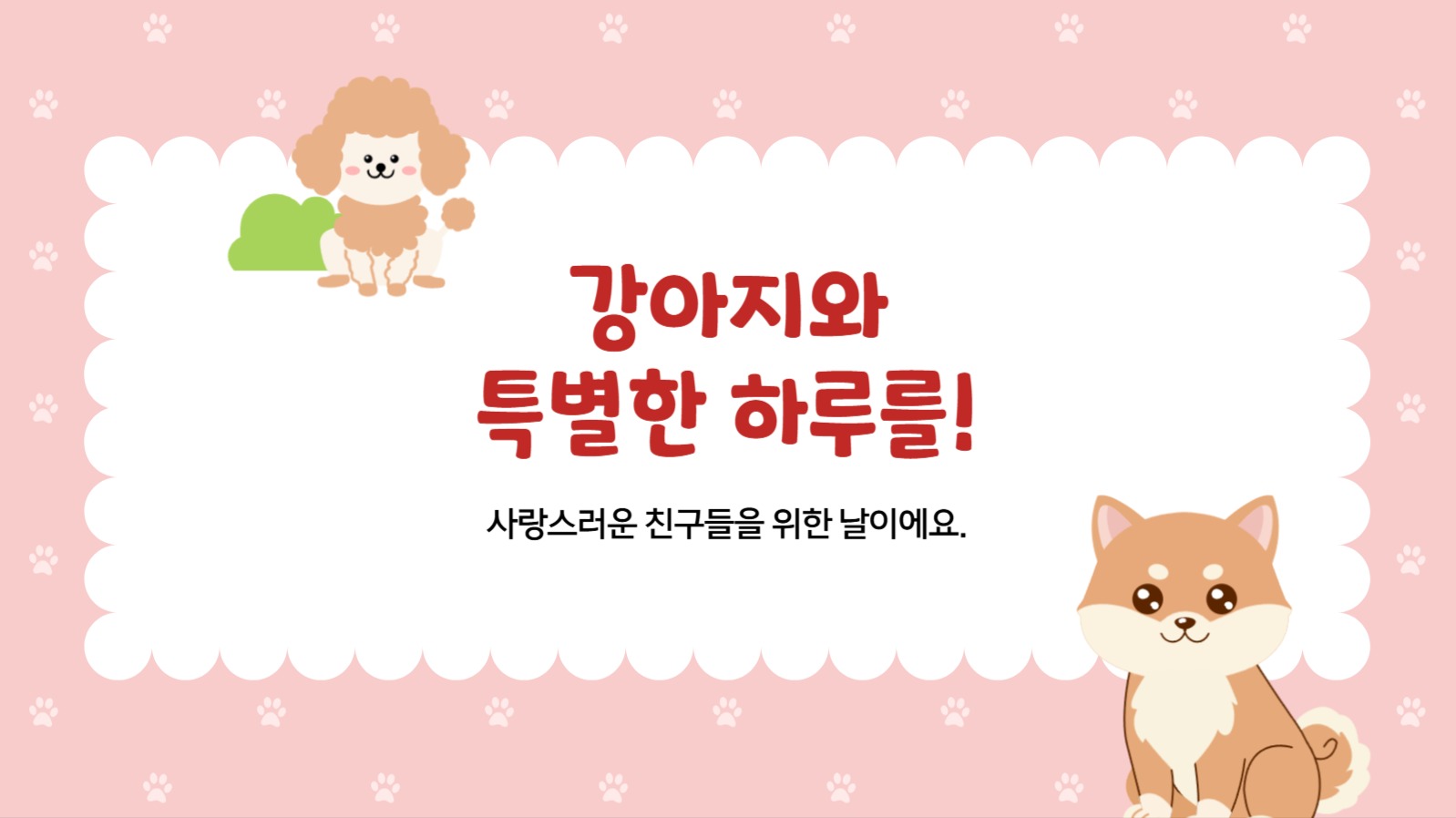 국제 강아지의날 행사