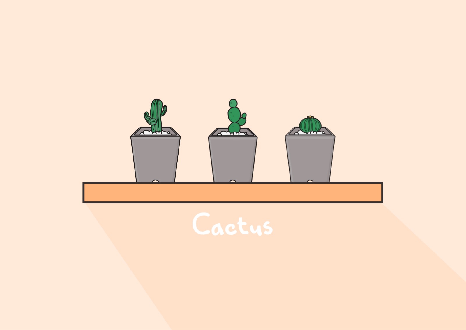 선반 위의 선인장 엽서 카드