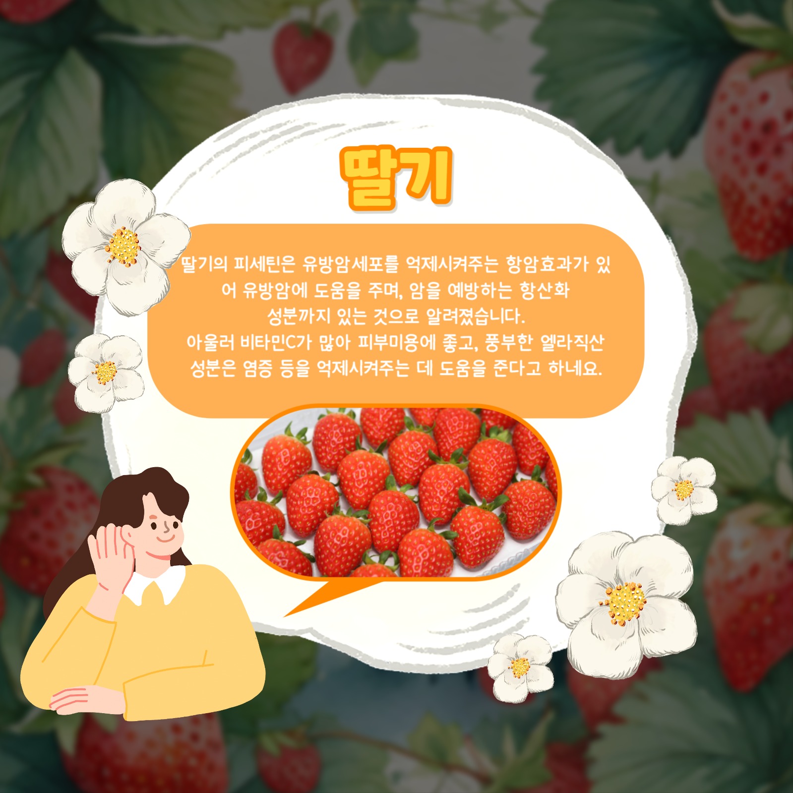 봄 제철 음식 카드뉴스