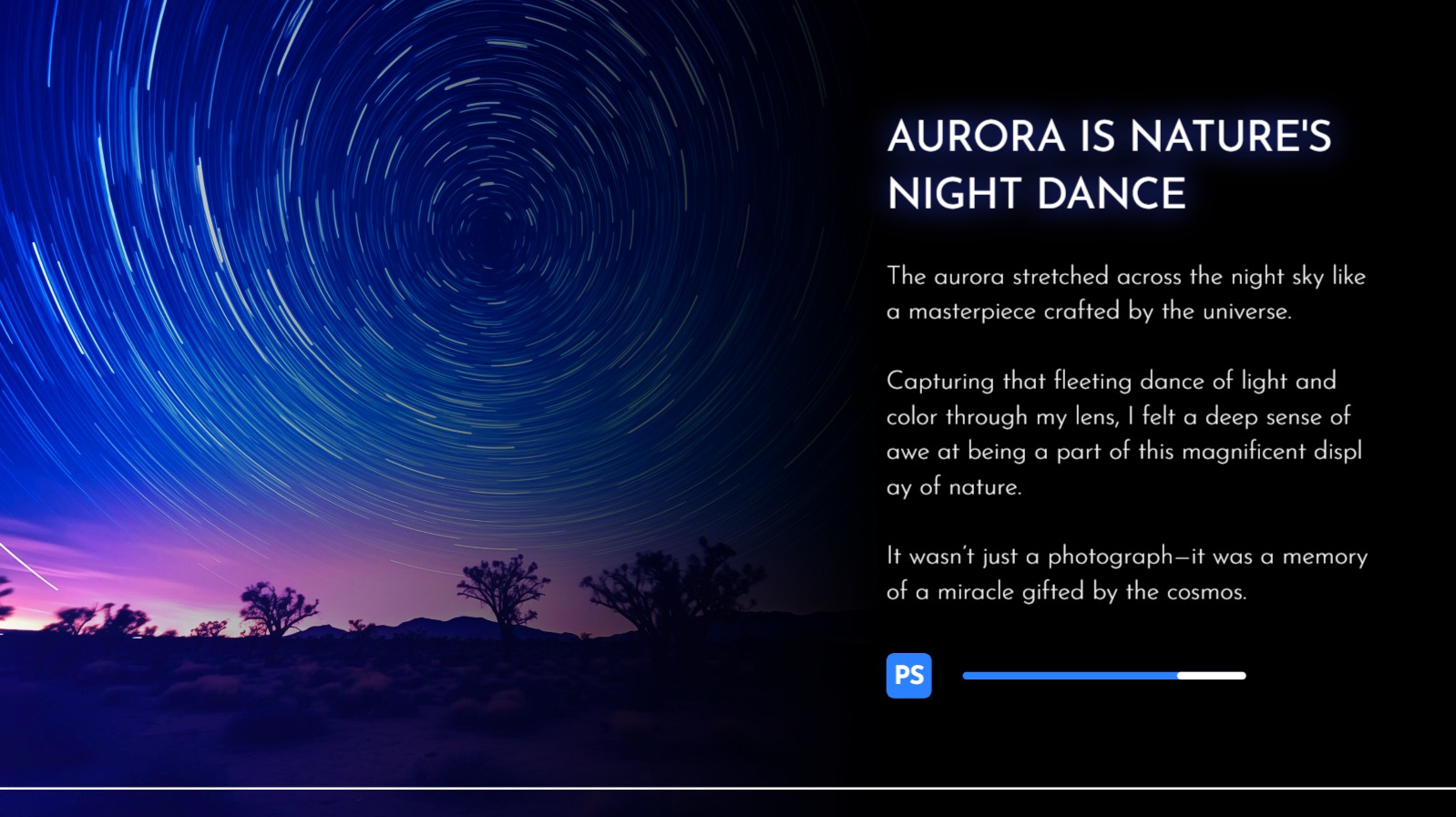 디자인 포트폴리오 프레젠테이션