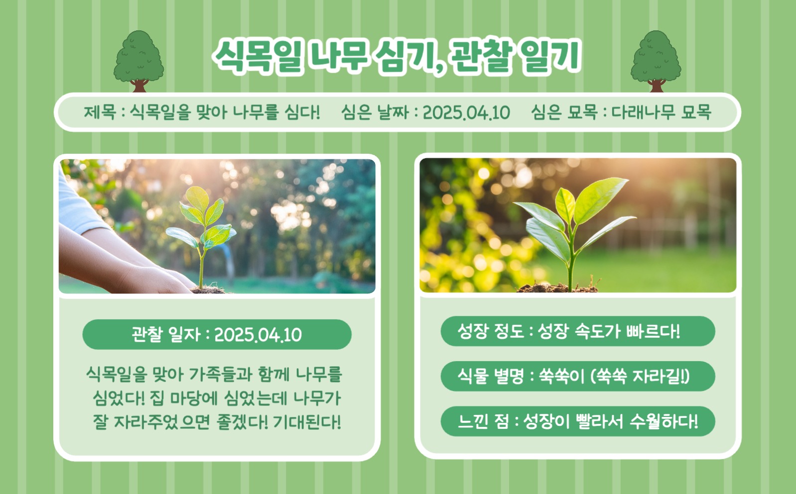 식목일 나무 심기, 관찰 일기