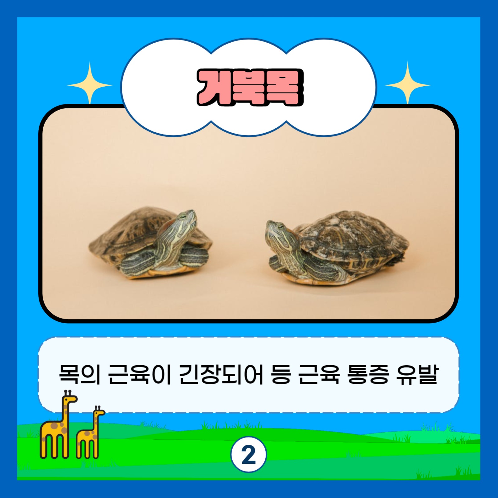 키 작아지는 습관