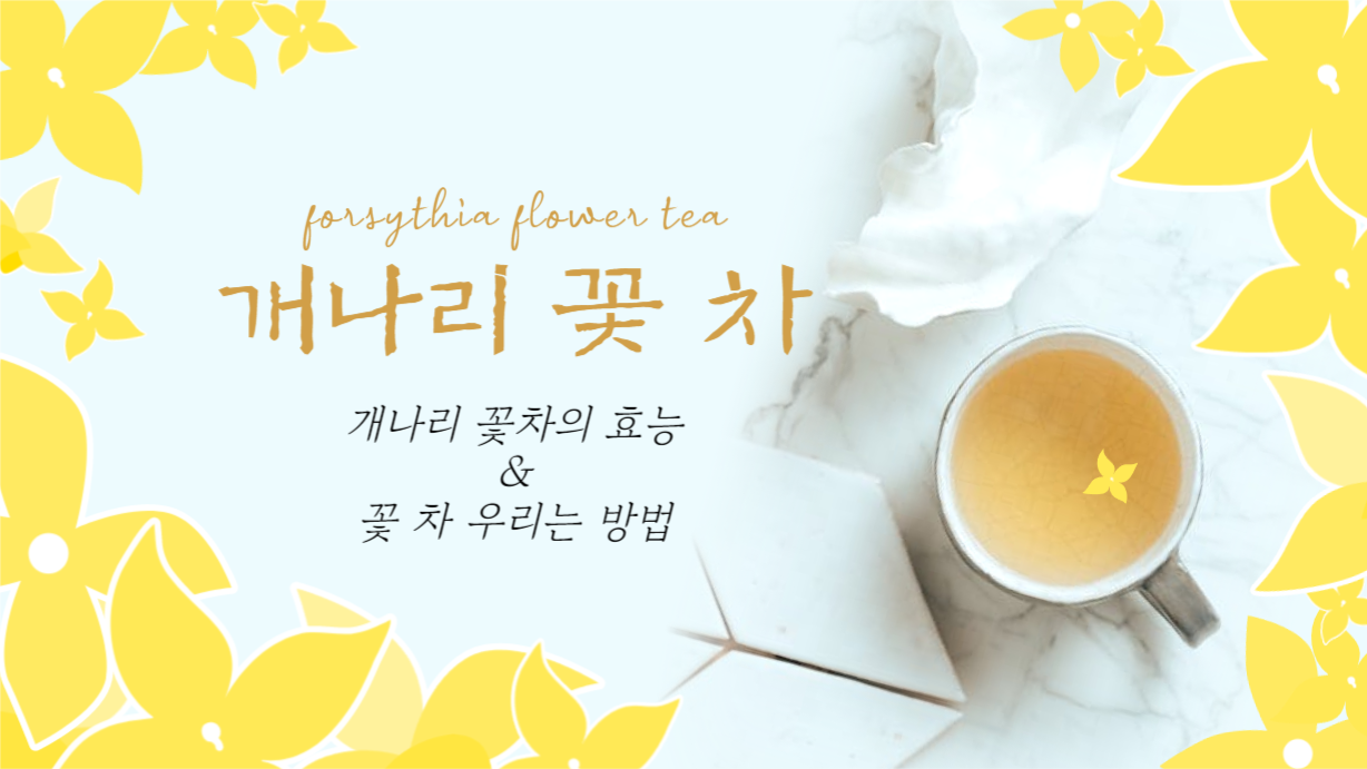 개나리 꽃 차 우리는 방법 유튜브