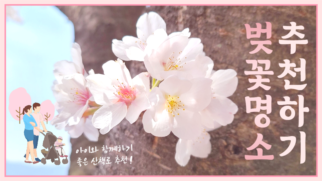 벚꽃명소 추천하기