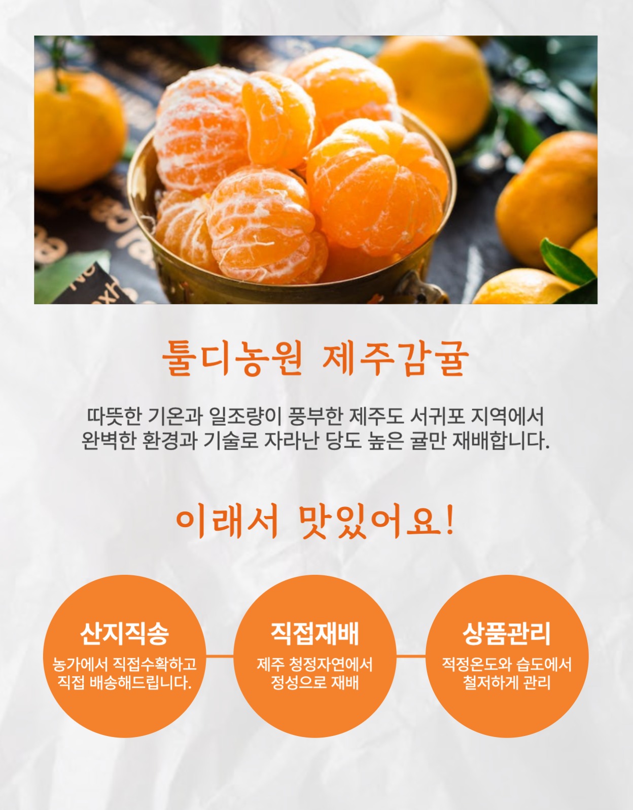 제주감귤 오렌지 농산물 상세페이지