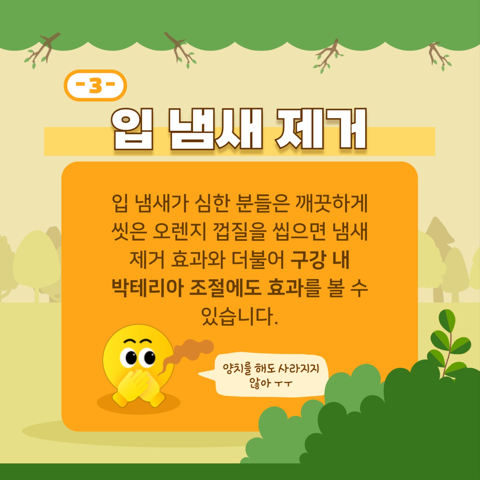 오렌지 껍질의 효능