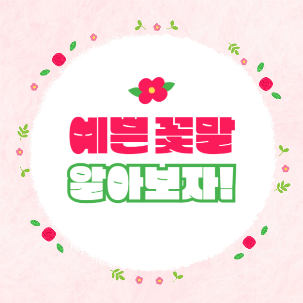 예쁜 꽃말 모음집 (카드뉴스)