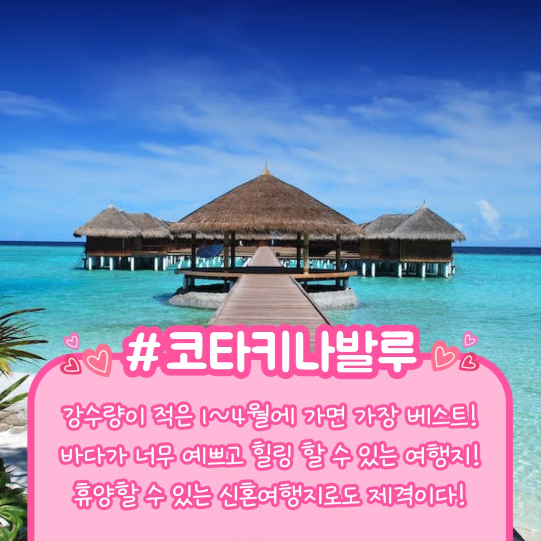 신혼여행지 추천 (카드뉴스)