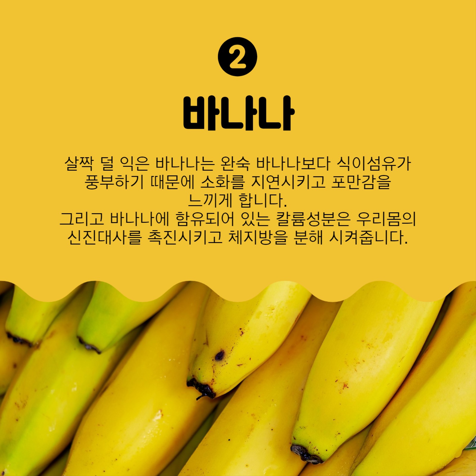 체지방감소에좋은음식