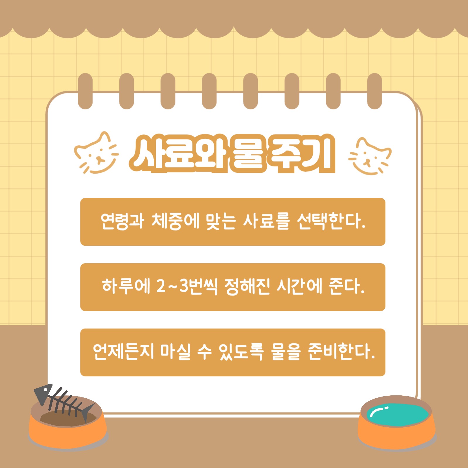 고양이 키우기 꿀팁 카드뉴스