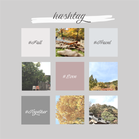 가을 테마 5초 카드뉴스