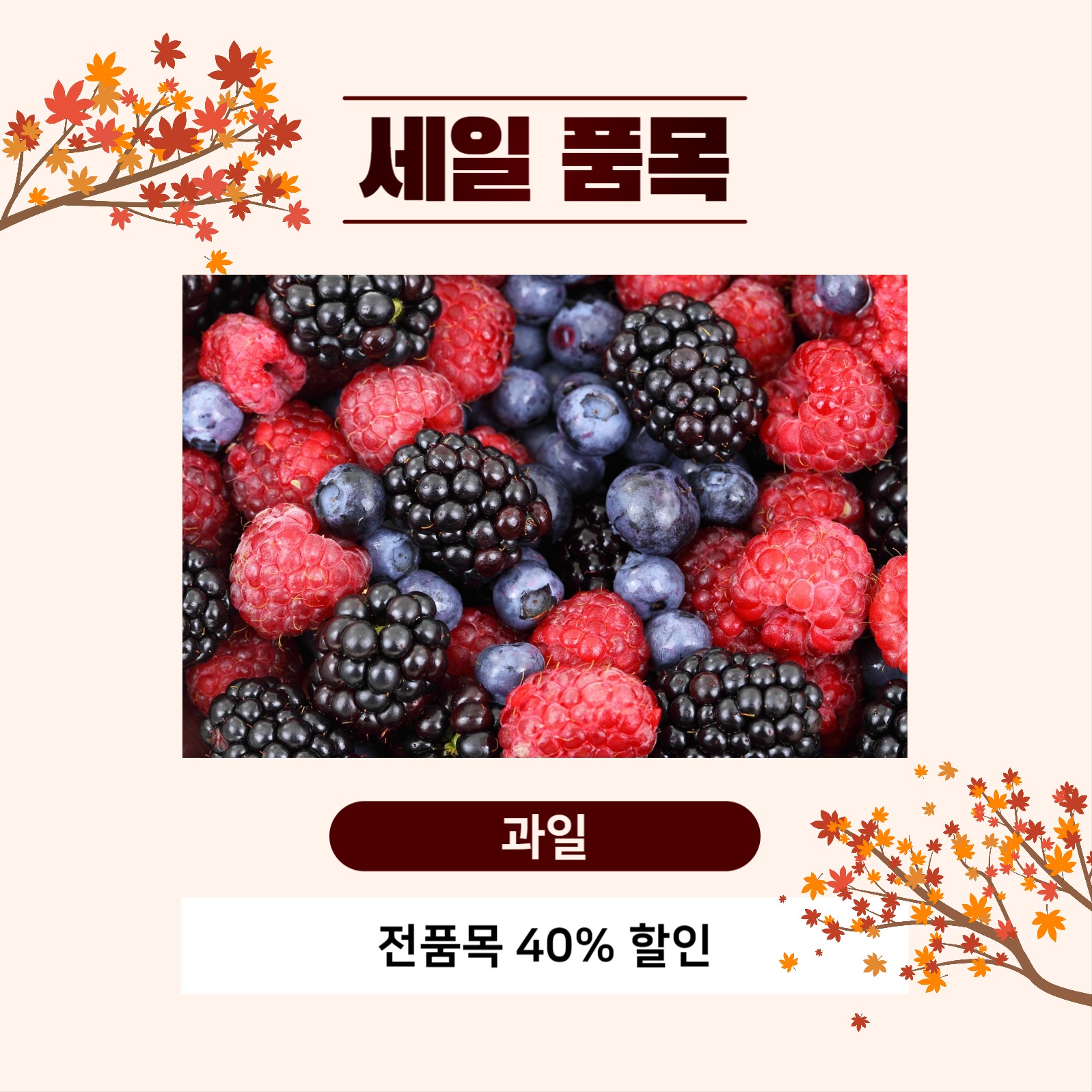 가을 시즌 세일 피드