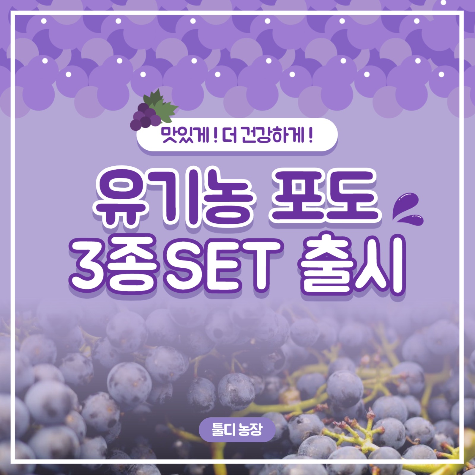 포도 농장 템플릿