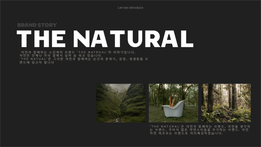 스킨 케어 브랜드 소개서_더 네츄럴