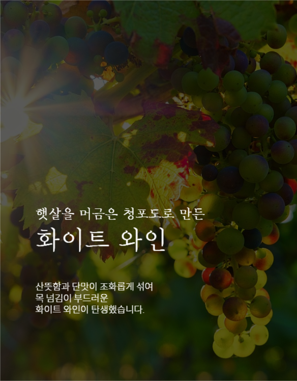 와인 상세페이지
